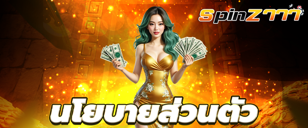 นโยบายความเป็นส่วนตัว